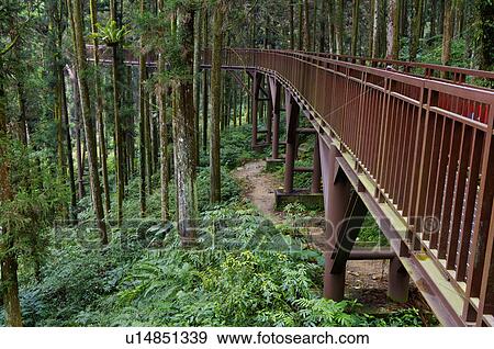Stock Photo - Asia, China, Taiwan, Nantou, Lugu Township, Xitou, Air Corridor. Fotosearch