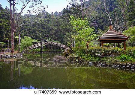 Stock Photo - Asia, China, Taiwan, Nantou, Lugu Township, Xitou, Daxue Pond. Fotosearch