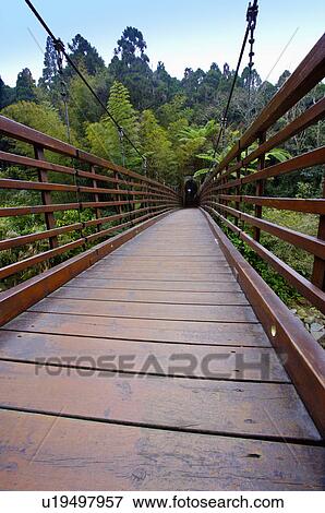 Asia, China, Taiwan, Nantou, Lugu Township, Xitou, Cueihong Bridge View Large Photo Image Stock Photo - Asia, China, Taiwan, Nantou, Lugu Township, Xitou, Cueihong Bridge. Fotosearch