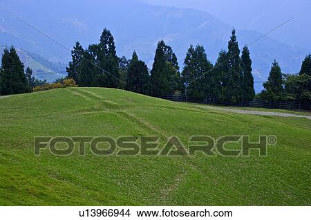Picture - Asia, China, Taiwan, Nantou, Ren-Ai Township, Cingjing, Ching-Jing Farm. Fotosearch