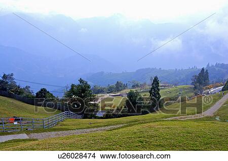 Asia, China, Taiwan, Nantou, Ren-Ai Township, Cingjing, Ching-Jing Farm View Large Photo Image Picture - Asia, China, Taiwan, Nantou, Ren-Ai Township, Cingjing, Ching-Jing Farm. Fotosearch