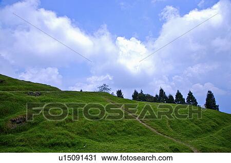 Asia, China, Taiwan, Nantou, Ren-Ai Township, Cingjing, Ching-Jing Farm View Large Photo Image Stock Image - Asia, China, Taiwan, Nantou, Ren-Ai Township, Cingjing, Ching-Jing Farm. Fotosearch
