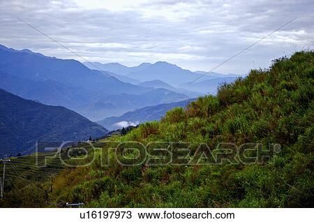 Stock Image - Asia, China, Taiwan, Nantou, Ren-Ai Township, Cingjing. Fotosearch