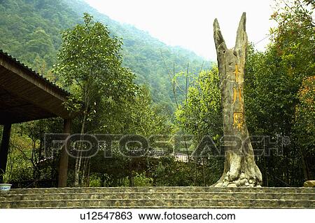 Asia, China, Fujian, UNESCO, World Cultural Heritage, World Natural Heritage, Wuyi Mountain, Shi-Ba Zhai Scenic Area, Shi-Ba Zhai View Large Photo Image Stock Image - Asia, China, Fujian, UNESCO, World Cultural Heritage, World Natural Heritage, Wuyi Mountain, Shi-Ba Zhai Scenic Area, Shi-Ba Zhai. Fotosearch