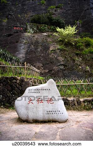 Asia, China, Fujian, UNESCO, World Cultural Heritage, World Natural Heritage, Wuyi Mountain, Da Hong Pao Scenic Area, Da Hong Pao View Large Photo Image Stock Image - Asia, China, Fujian, UNESCO, World Cultural Heritage, World Natural Heritage, Wuyi Mountain, Da Hong Pao Scenic Area, Da Hong Pao. Fotosearch