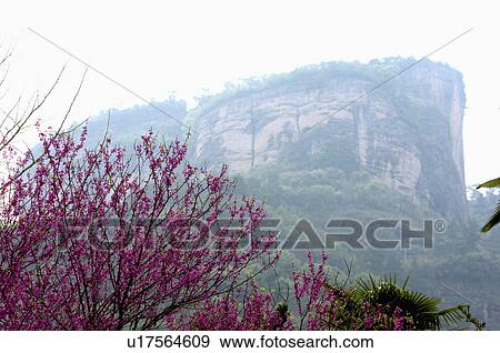 Asia, China, Fujian, UNESCO, World Cultural Heritage, World Natural Heritage, Wuyi Mountain, Nine-twist Stream Scenic Area, The King Peak View Large Photo Image Stock Photo - Asia, China, Fujian, UNESCO, World Cultural Heritage, World Natural Heritage, Wuyi Mountain, Nine-twist Stream Scenic Area, The King Peak. Fotosearch
