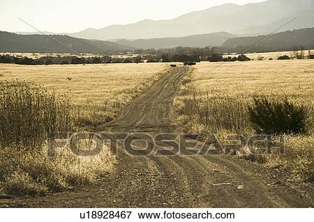 Stock Photo - Dirt road through New Mexico countryside with back-lit dry grass. Fotosearch