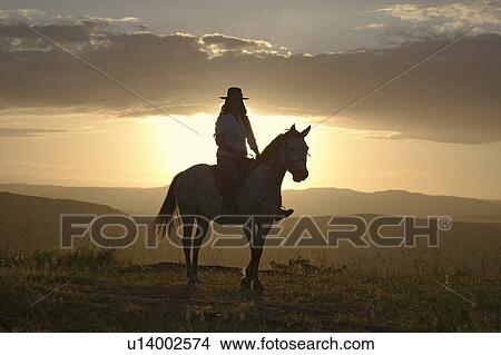 Picture - Female horseback rider and horse ride to overlook at Lewa Wildlife Conservancy in North Kenya, Africa at sunset. Fotosearch