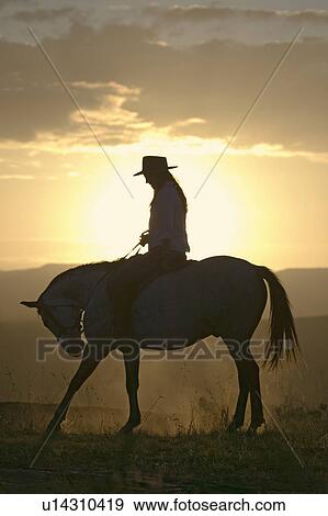 Female horseback rider and horse ride to overlook at Lewa Wildlife Conservancy in North Kenya, Africa at sunset View Large Photo Image Stock Photo - Female horseback rider and horse ride to overlook at Lewa Wildlife Conservancy in North Kenya, Africa at sunset. Fotosearch
