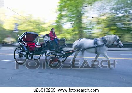 Horse and carriage drives in traffic down Central Park West in Manhattan, New York City, NY View Large Photo Image Stock Image - Horse and carriage drives in traffic down Central Park West in Manhattan, New York City, NY. Fotosearch