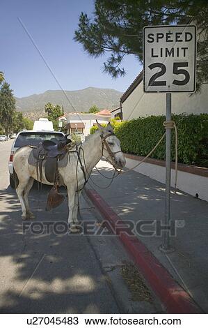 Horse tethered to a sign relaxes on a side street during Fourth of July celebration in Ojai, CA View Large Photo Image Stock Image - Horse tethered to a sign relaxes on a side street during Fourth of July celebration in Ojai, CA. Fotosearch