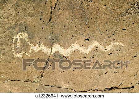 Stock Image - Native American petroglyphs featuring an image of a snake at Petroglyph National Monument, outside Albuquerque, New Mexico. Fotosearch