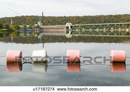Picture - Plant and pond with floats in autumn in western Massachusetts, New England. Fotosearch