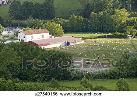 Small farm house and fields in Sare, France in Basque Country on Spanish-French border, a hilltop 17th century village in the Labourd province. It is centered around the Place du Fronto, close to St. Jean de Luz, on the Cote Basque, France. View Large Photo Image Stock Photograph - Small farm house and fields in Sare, France in Basque Country on Spanish-French border, a hilltop 17th century village in the Labourd province. It is centered around the Place du Fronto, close to St. Jean de Luz, on the Cote Basque, France.. Fotosearch