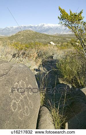 Stock Image - Three Rivers Petroglyph National Site, a (BLM) Bureau of Land Management Site, features more than 21, 000 Native American Indian petroglyphs and examples of prehistoric Jornada Mogollon rock art, off Route 54, South of Carrizozo, New Mexico. Fotosearch