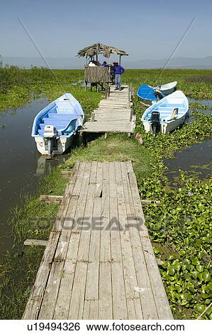 Stock Photograph - Two tour boats at dock in marsh areas of Lake Naivasha, Great Rift Valley, Kenya, Africa. Fotosearch