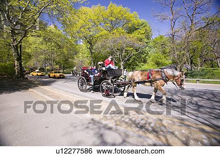 Stock Photograph - Horse and carriage drives through Central Park Manhattan, New York City, New York. Fotosearch