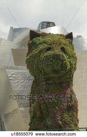 Jeffrey Koons' living plant sculptor of dog in front of the Guggenheim Museum of Contemporary Art of Bilbao (Bilbo), located on the North Coast of Spain in the Basque region. Nicknamed "The Hole", this is a contemporary museum built of titanium, limestone View Large Photo Image Stock Photo - Jeffrey Koons' living plant sculptor of dog in front of the Guggenheim Museum of Contemporary Art of Bilbao (Bilbo), located on the North Coast of Spain in the Basque region. Nicknamed "The Hole", this is a contemporary museum built of titanium, limestone. Fotosearch