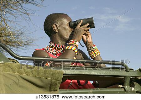 Masai scout with binoculars looks for animals from a Landcruiser during a tourist game drive at the Lewa Wildlife Conservancy in North Kenya, Africa View Large Photo Image Stock Photography - Masai scout with binoculars looks for animals from a Landcruiser during a tourist game drive at the Lewa Wildlife Conservancy in North Kenya, Africa. Fotosearch