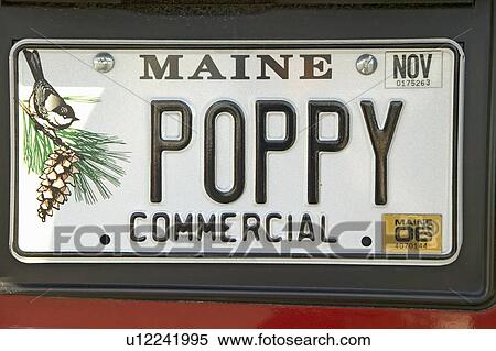 Poppy" vanity custom Maine license plate, Acadia national Park, Maine View Large Photo Image Stock Photography - Poppy" vanity custom Maine license plate, Acadia national Park, Maine. Fotosearch