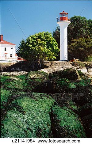 Picture - lighthouse located at Active Pass, British Columbia, Canada. Fotosearch