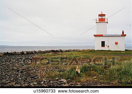 lighthouse located at caribou Island, Nova Scotia View Large Photo Image Stock Image - lighthouse located at caribou Island, Nova Scotia. Fotosearch