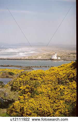lighthouse located at Coquille River, Oregon, United States View Large Photo Image Stock Image - lighthouse located at Coquille River, Oregon, United States. Fotosearch