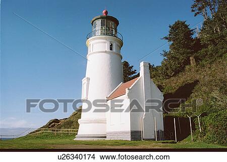 Picture - lighthouse located at HecetaHead, Oregon, United States. Fotosearch