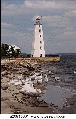 lighthouse located at Lynde Point, Conneticut, United States View Large Photo Image Stock Image - lighthouse located at Lynde Point, Conneticut, United States. Fotosearch