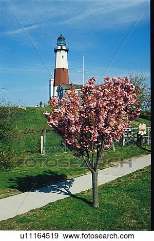 lighthouse located at Montauk Point, New York, United States View Large Photo Image Stock Photo - lighthouse located at Montauk Point, New York, United States. Fotosearch
