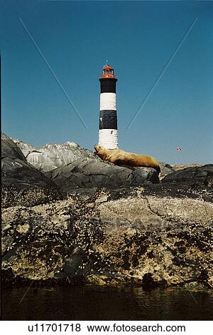 Stock Photo - lighthouse located at RaceRocks, British Columbia, Canada. Fotosearch