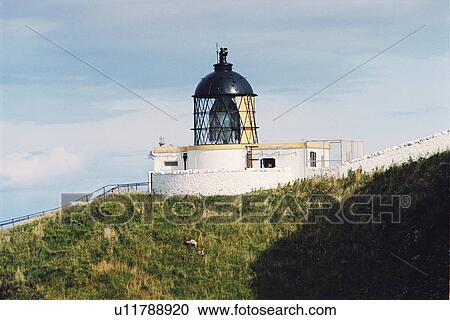 Stock Image - lighthouse located at St. AbbsHead, Scotland. Fotosearch