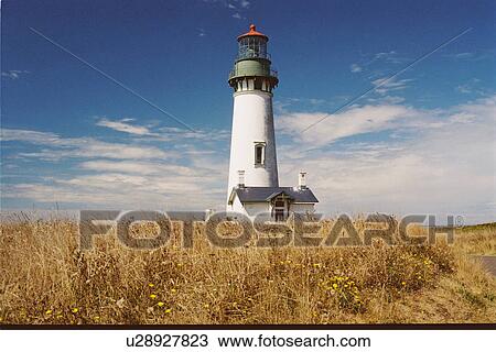 lighthouse located at YaquinaHead, Oregon, United States View Large Photo Image Stock Image - lighthouse located at YaquinaHead, Oregon, United States. Fotosearch