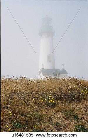 lighthouse located at YaquinaHead, Oregon, United States View Large Photo Image Stock Photography - lighthouse located at YaquinaHead, Oregon, United States. Fotosearch