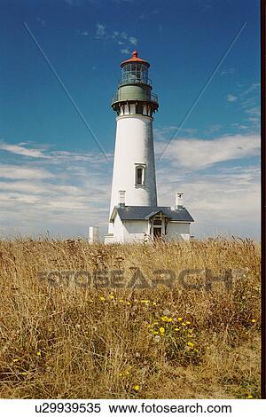 lighthouse located at YaquinaHead, Oregon, United States View Large Photo Image Stock Photography - lighthouse located at YaquinaHead, Oregon, United States. Fotosearch