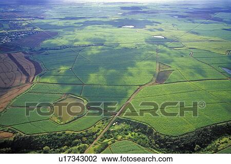 Aerial View of Farms View Large Photo Image Stock Image - Aerial View of Farms. Fotosearch
