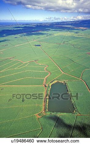 Aerial View of Sugar Fields View Large Photo Image Stock Image - Aerial View of Sugar Fields. Fotosearch