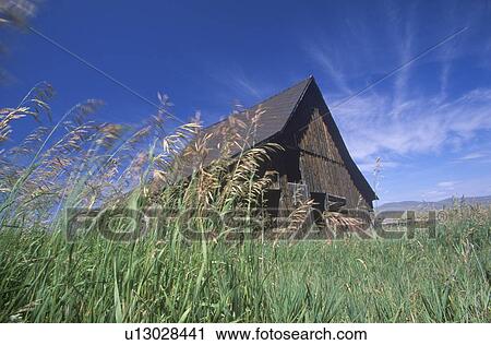 Barn on a breezy day View Large Photo Image Stock Image - Barn on a breezy day. Fotosearch