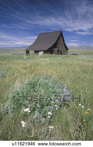 Barn on a breezy day View Large Photo Image Stock Photograph - Barn on a breezy day. Fotosearch