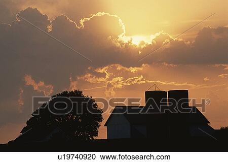 Barn, silo and tree silhouetted on a cloudy sunset View Large Photo Image Stock Image - Barn, silo and tree silhouetted on a cloudy sunset. Fotosearch