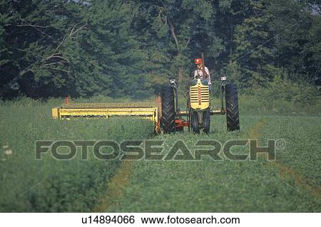 Farmer cutting hay field View Large Photo Image Stock Photograph - Farmer cutting hay field. Fotosearch