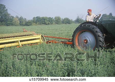 Farmer cutting hay field View Large Photo Image Stock Photography - Farmer cutting hay field. Fotosearch