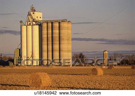 Stock Image - Grain silo. Fotosearch