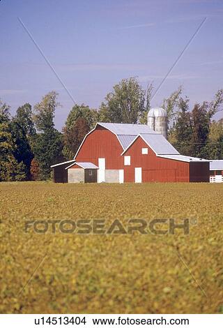 Red barn and outbuildings View Large Photo Image Picture - Red barn and outbuildings. Fotosearch