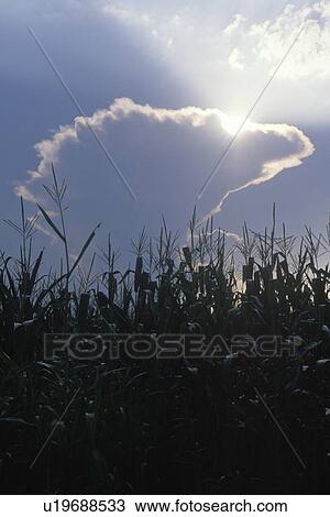 Sun breaking through the clouds View Large Photo Image Stock Image - Sun breaking through the clouds. Fotosearch