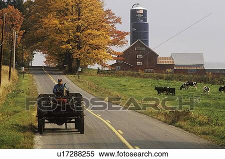 Tractor on farm road with barn and silo in background in autumn View Large Photo Image Stock Photography - Tractor on farm road with barn and silo in background in autumn. Fotosearch