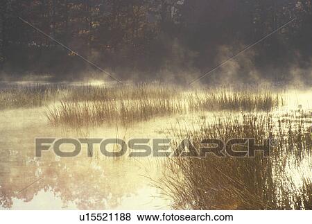 Autumn Pond in Mist View Large Photo Image Stock Photo - Autumn Pond in Mist. Fotosearch