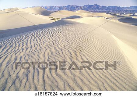 Desert Sand View Large Photo Image Picture - Desert Sand. Fotosearch