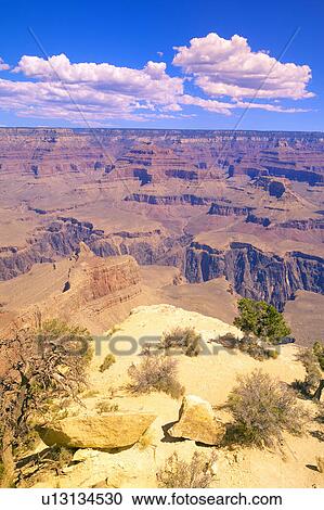 Edge of South Rim of Grand Canyon National Park in mid-summer in Arizona View Large Photo Image Stock Image - Edge of South Rim of Grand Canyon National Park in mid-summer in Arizona. Fotosearch