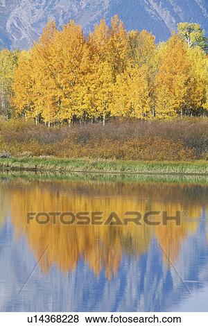Grand Teton National Park in Autumn View Large Photo Image Stock Photo - Grand Teton National Park in Autumn. Fotosearch